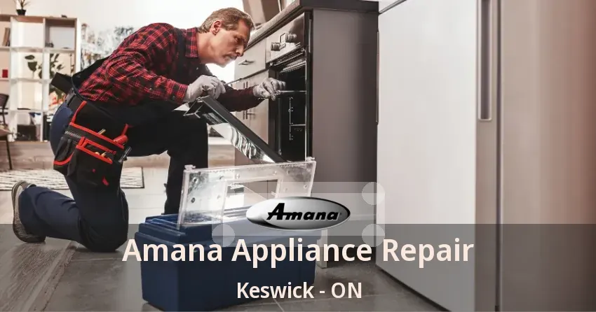 Amana Appliance Repair Keswick - ON