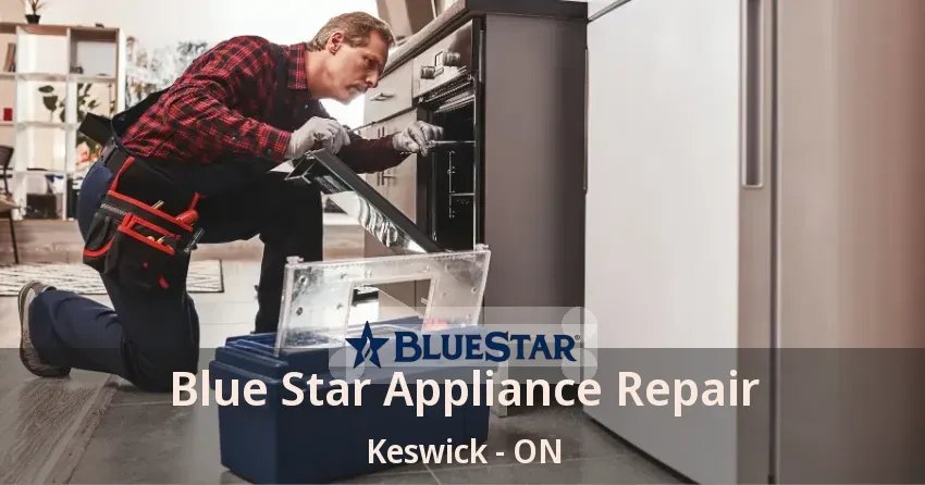 Blue Star Appliance Repair Keswick - ON