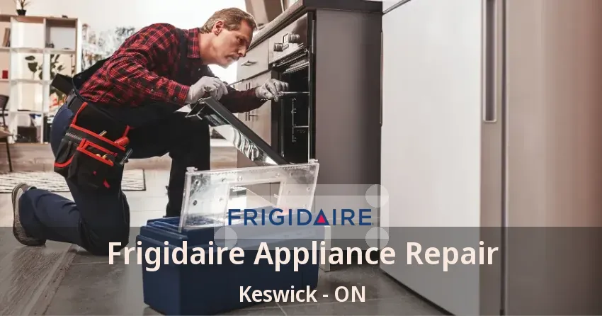 Frigidaire Appliance Repair Keswick - ON