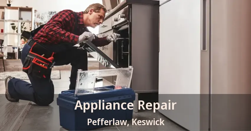 Appliance Repair Pefferlaw, Keswick - ON