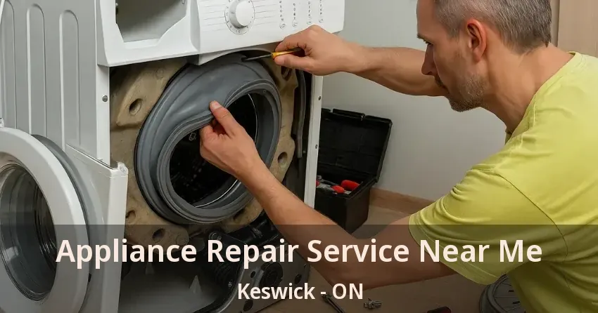 Appliance Repair Service Near Me Keswick - ON