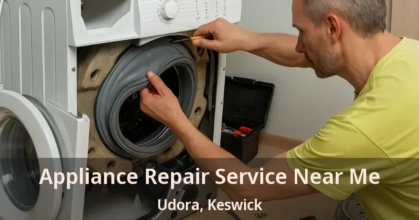 Appliance Repair Service Near Me Udora, Keswick - ON