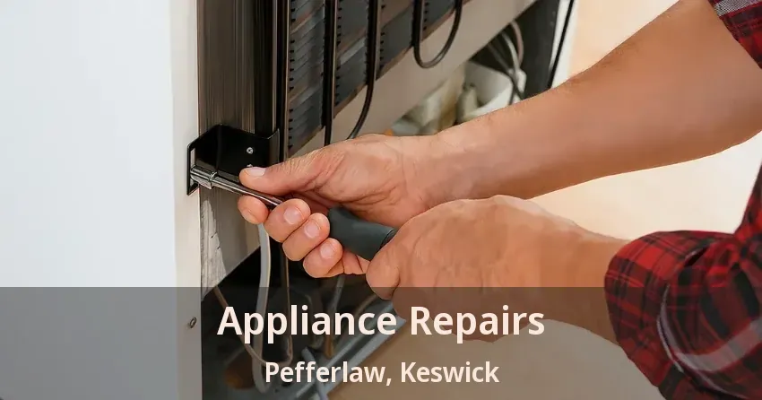 Appliance Repairs Pefferlaw, Keswick - ON