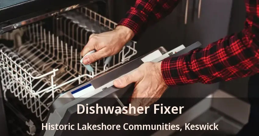 Dishwasher Fixer Historic Lakeshore Communities, Keswick - ON