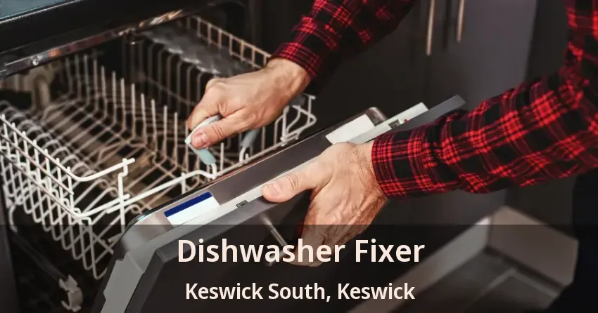 Dishwasher Fixer Keswick South, Keswick - ON