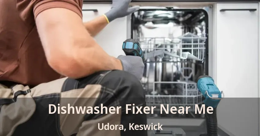 Dishwasher Fixer Near Me Udora, Keswick - ON