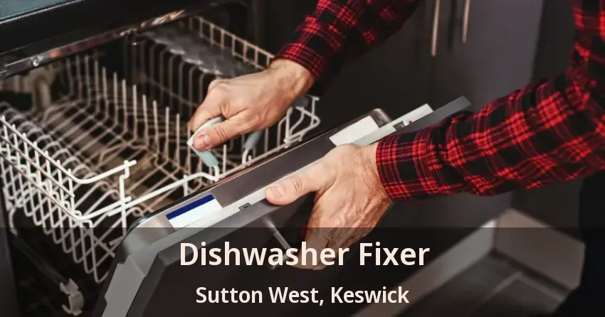 Dishwasher Fixer Sutton West, Keswick - ON