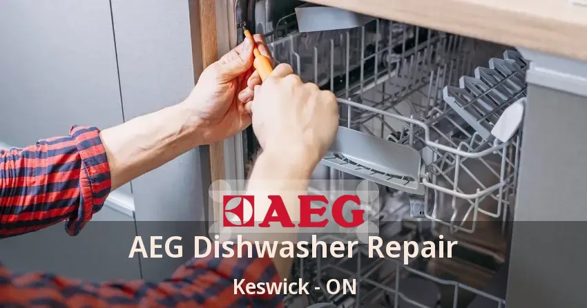 AEG Dishwasher Repair Keswick - ON