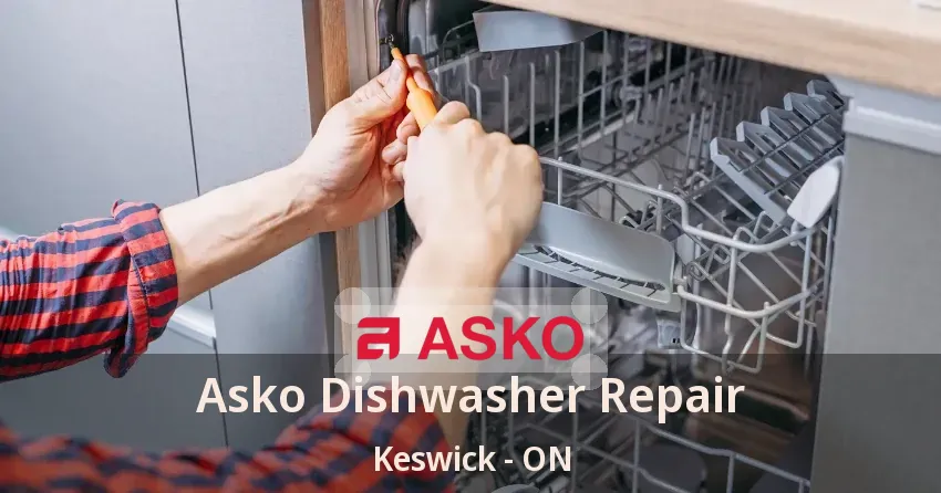 Asko Dishwasher Repair Keswick - ON