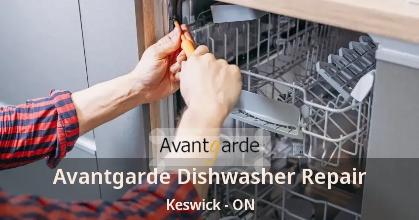 Avantgarde Dishwasher Repair Keswick - ON