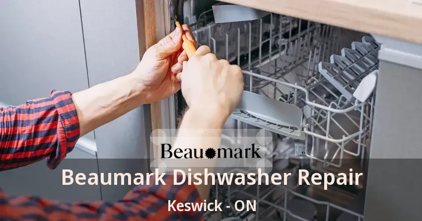 Beaumark Dishwasher Repair Keswick - ON
