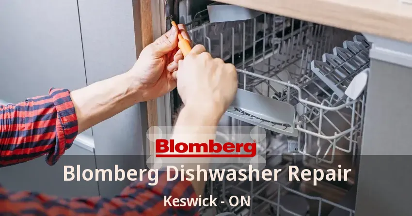 Blomberg Dishwasher Repair Keswick - ON