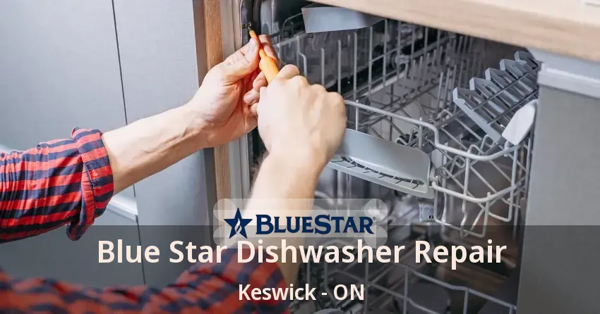 Blue Star Dishwasher Repair Keswick - ON