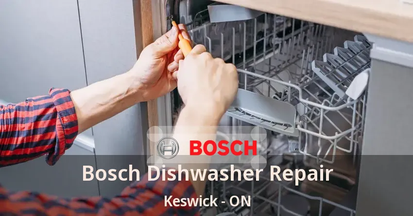 Bosch Dishwasher Repair Keswick - ON