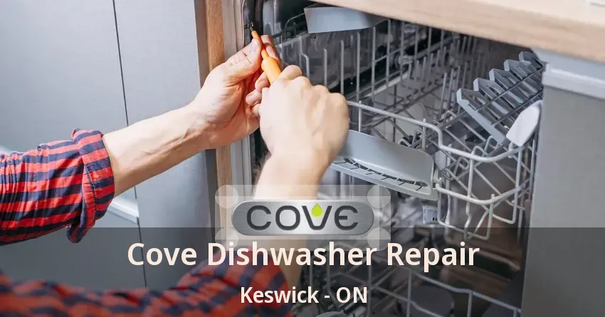 Cove Dishwasher Repair Keswick - ON