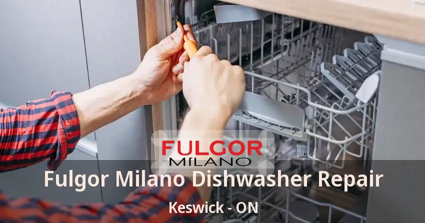 Fulgor Milano Dishwasher Repair Keswick - ON
