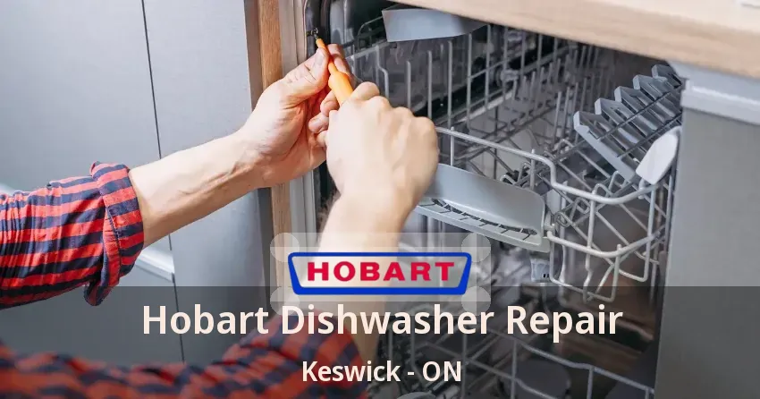 Hobart Dishwasher Repair Keswick - ON