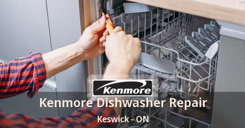Kenmore Dishwasher Repair Keswick - ON