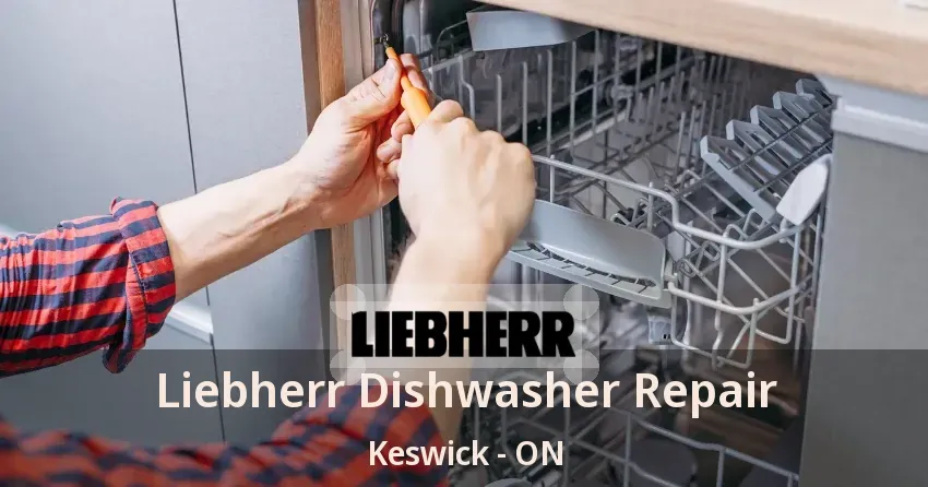 Liebherr Dishwasher Repair Keswick - ON