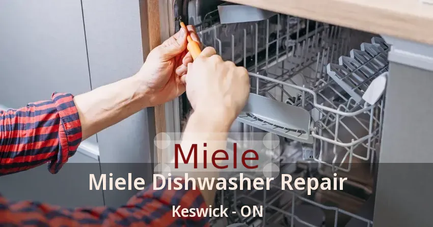 Miele Dishwasher Repair Keswick - ON