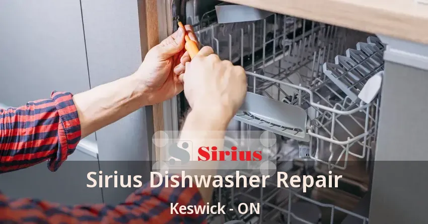 Sirius Dishwasher Repair Keswick - ON