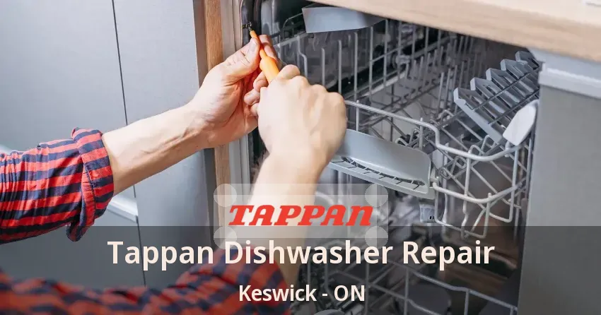 Tappan Dishwasher Repair Keswick - ON