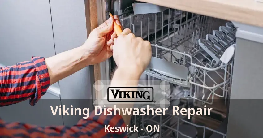 Viking Dishwasher Repair Keswick - ON
