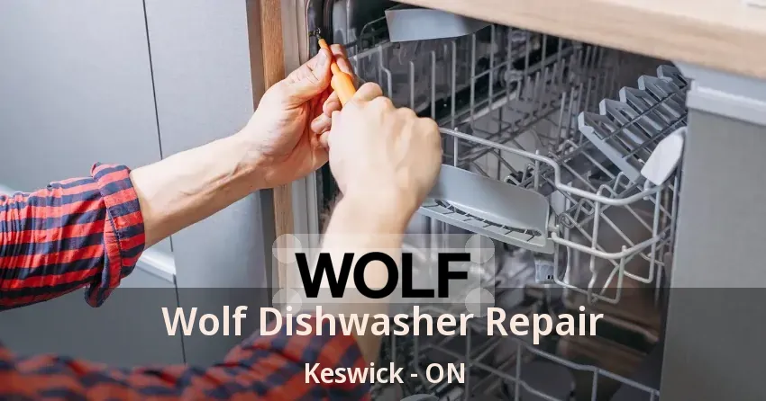 Wolf Dishwasher Repair Keswick - ON