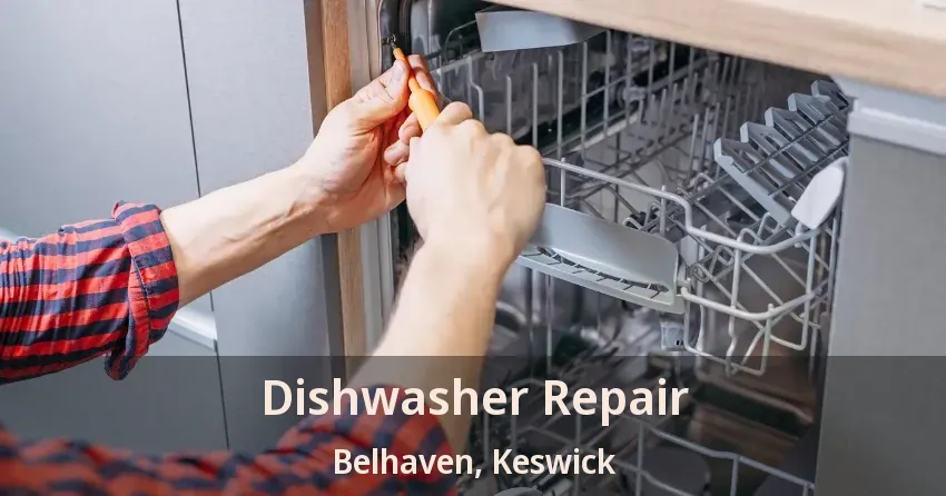 Dishwasher Repair Belhaven, Keswick - ON