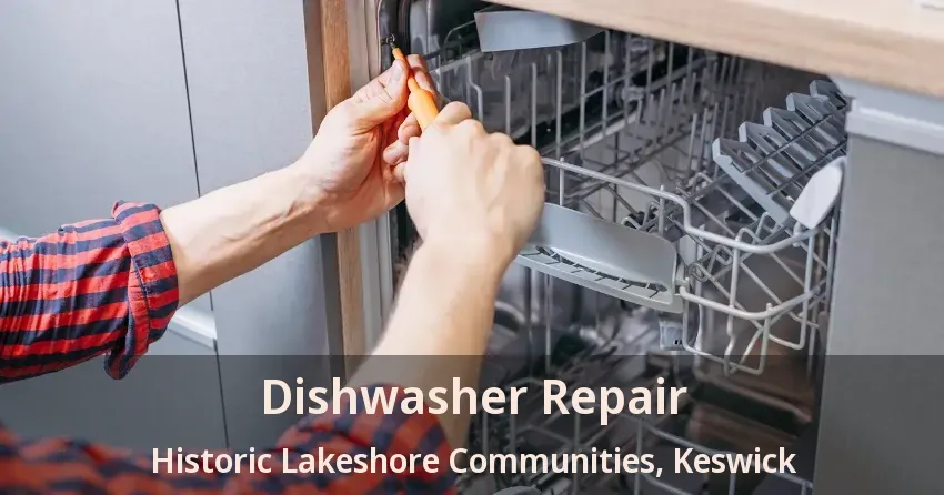 Dishwasher Repair Historic Lakeshore Communities, Keswick - ON