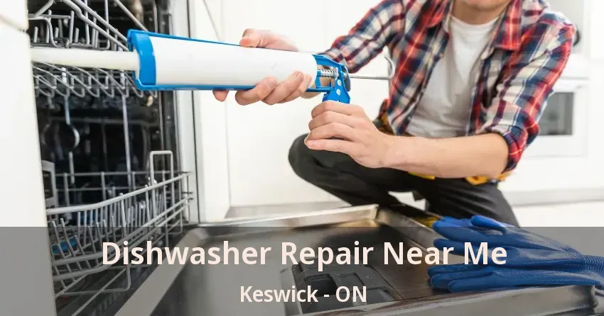 Dishwasher Repair Near Me Keswick - ON