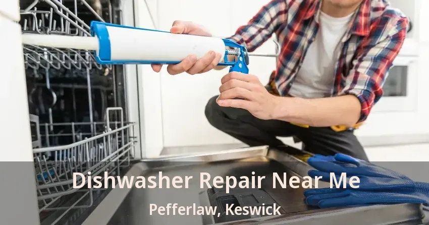 Dishwasher Repair Near Me Pefferlaw, Keswick - ON
