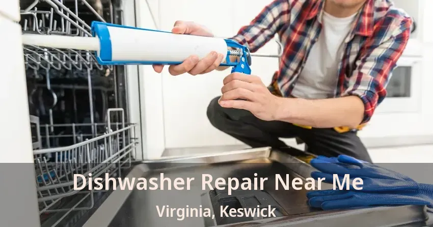 Dishwasher Repair Near Me Virginia, Keswick - ON