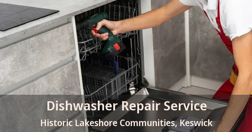 Dishwasher Repair Service Historic Lakeshore Communities, Keswick - ON