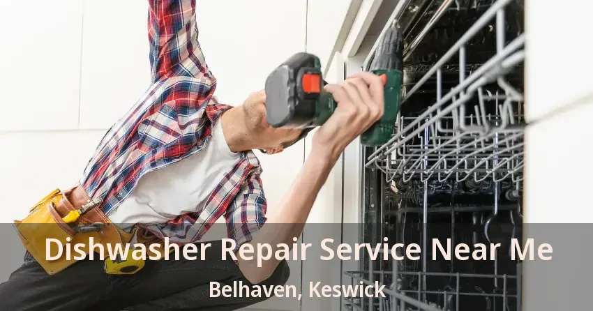 Dishwasher Repair Service Near Me Belhaven, Keswick - ON