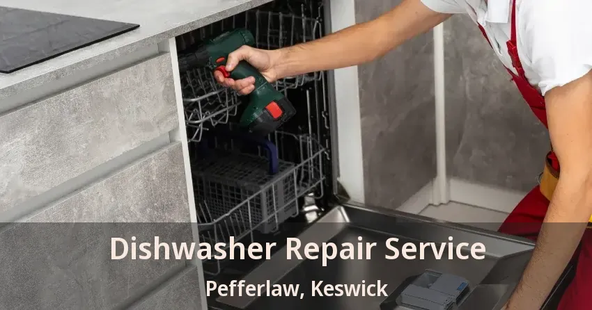 Dishwasher Repair Service Pefferlaw, Keswick - ON