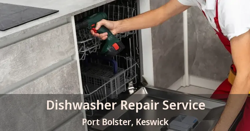 Dishwasher Repair Service Port Bolster, Keswick - ON