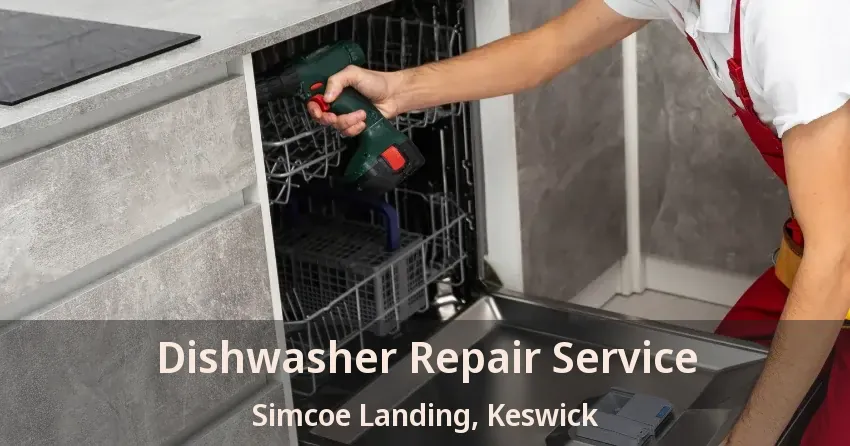 Dishwasher Repair Service Simcoe Landing, Keswick - ON