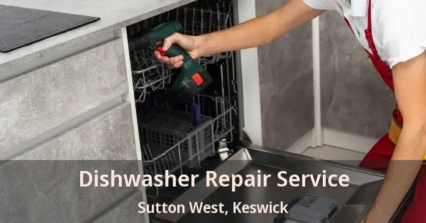Dishwasher Repair Service Sutton West, Keswick - ON