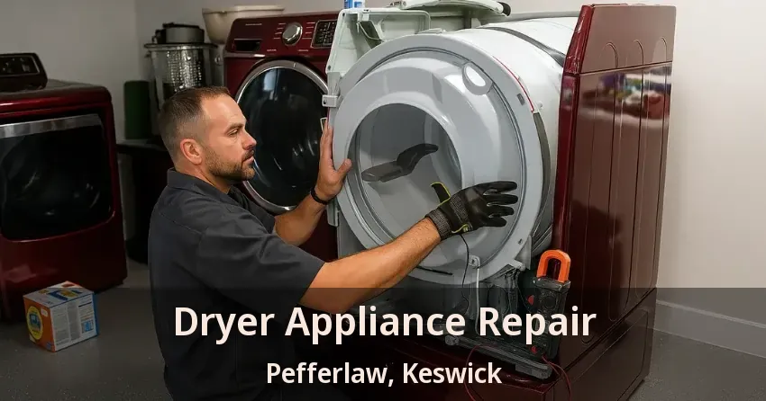Dryer Appliance Repair Pefferlaw, Keswick - ON
