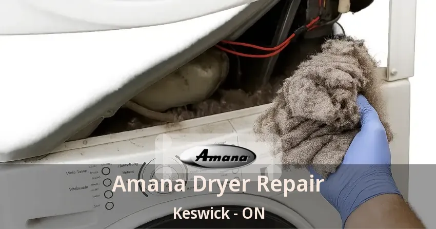 Amana Dryer Repair Keswick - ON