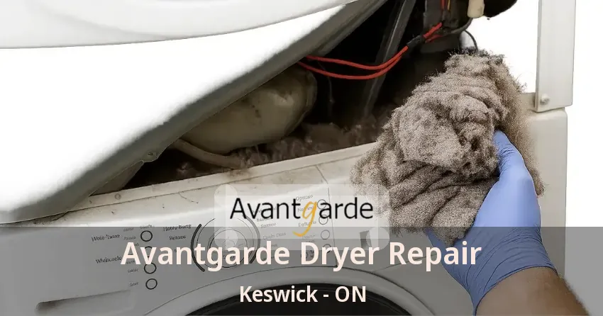 Avantgarde Dryer Repair Keswick - ON