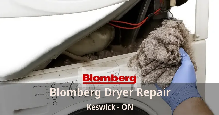 Blomberg Dryer Repair Keswick - ON