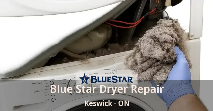 Blue Star Dryer Repair Keswick - ON