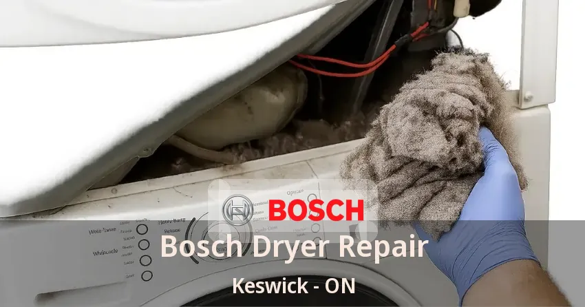 Bosch Dryer Repair Keswick - ON