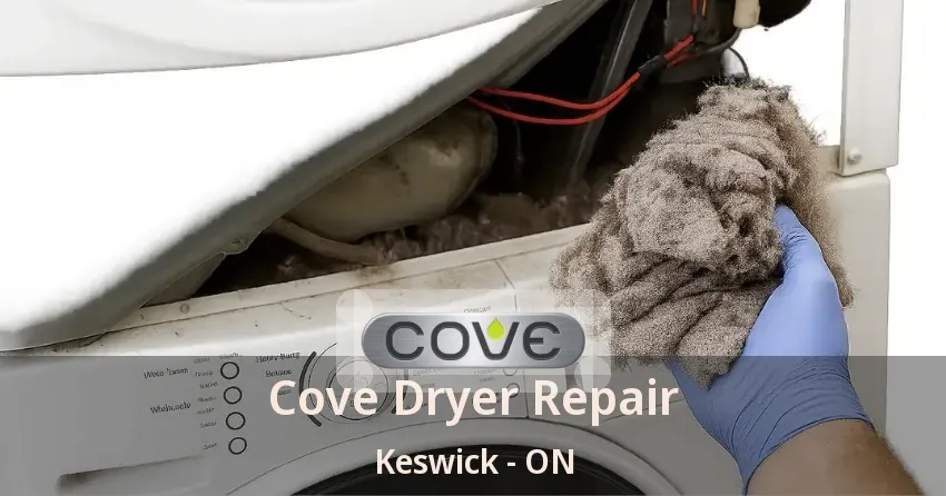 Cove Dryer Repair Keswick - ON