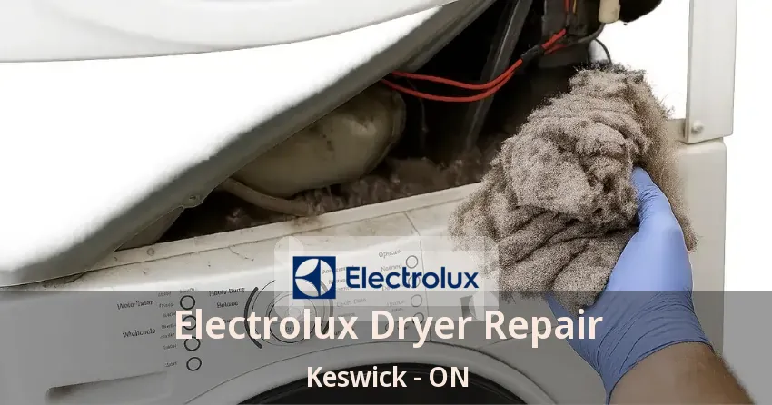 Electrolux Dryer Repair Keswick - ON