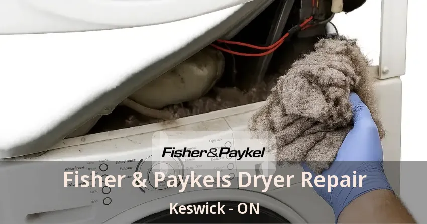 Fisher & Paykels Dryer Repair Keswick - ON