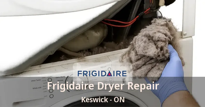 Frigidaire Dryer Repair Keswick - ON