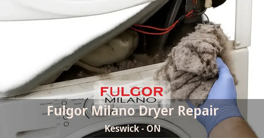 Fulgor Milano Dryer Repair Keswick - ON
